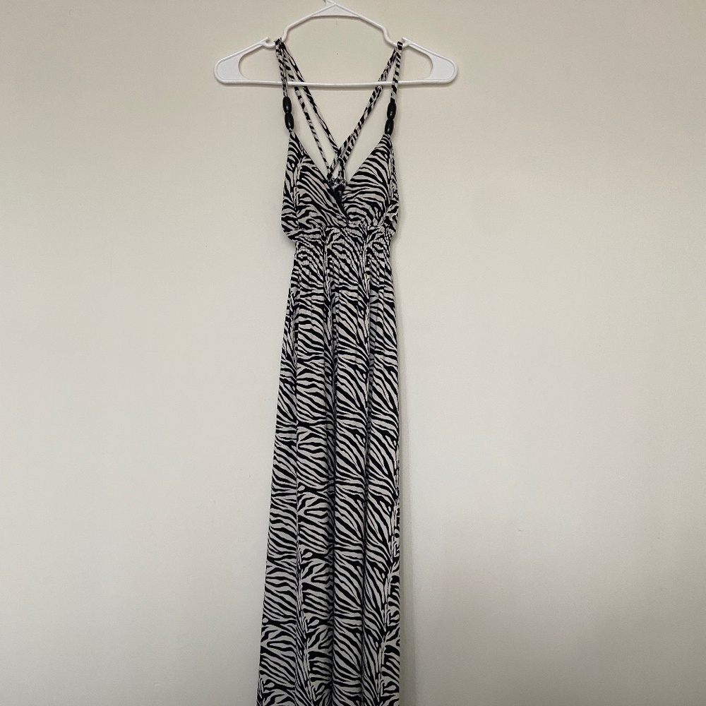 Alyn Paige Zebra Dress